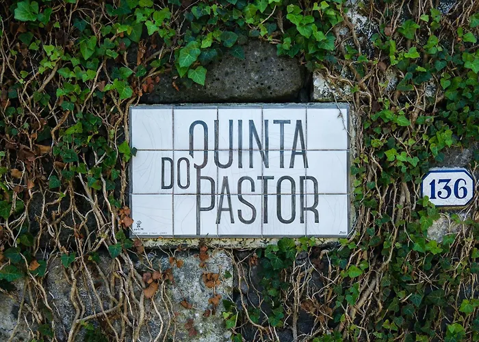 Quinta Do Pastor - Host & Chill * Ribeira Grande