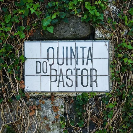Quinta Do Pastor - Host & Chill * Ribeira Grande